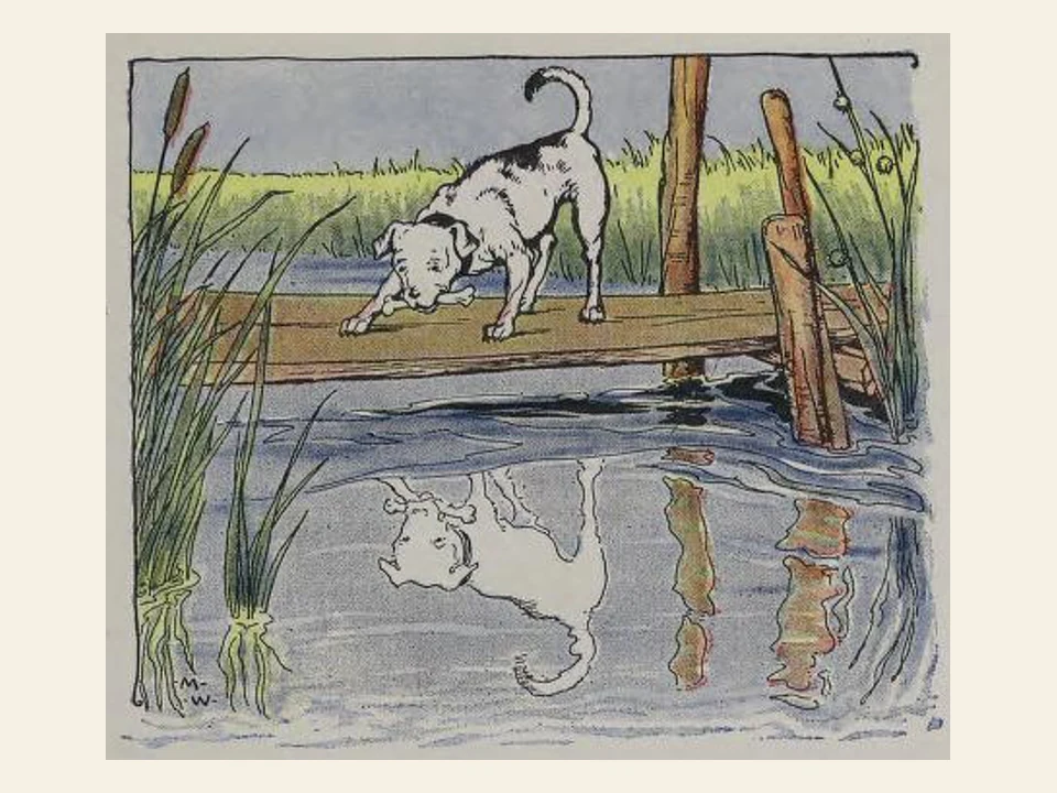 A dog carrying food peers from a wooden bridge at its reflection in the water.