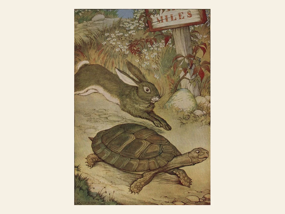 The hare bounds over the steady tortoise on a woodland race path.