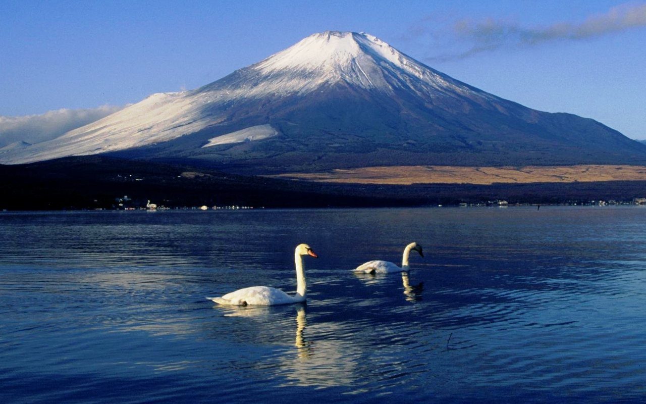A symmetrical snow-capped volcanic mountain reflected in a calm lake