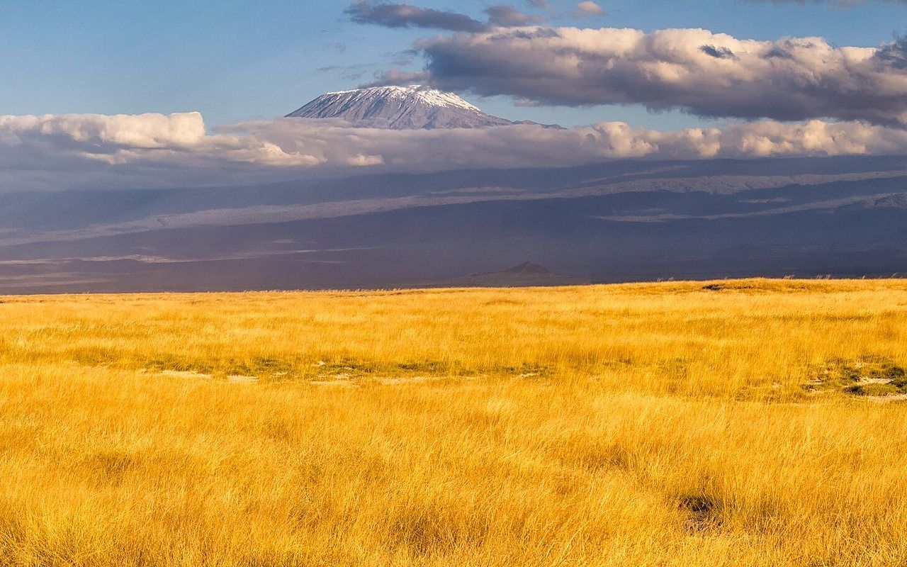 A broad snow-capped volcanic summit above dry grassland