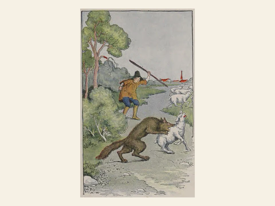 A shepherd boy runs toward a wolf chasing one of his sheep.