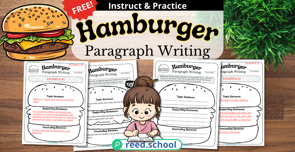 The Juicy Secret to Delicious Paragraphs: Introducing the Hamburger Method!