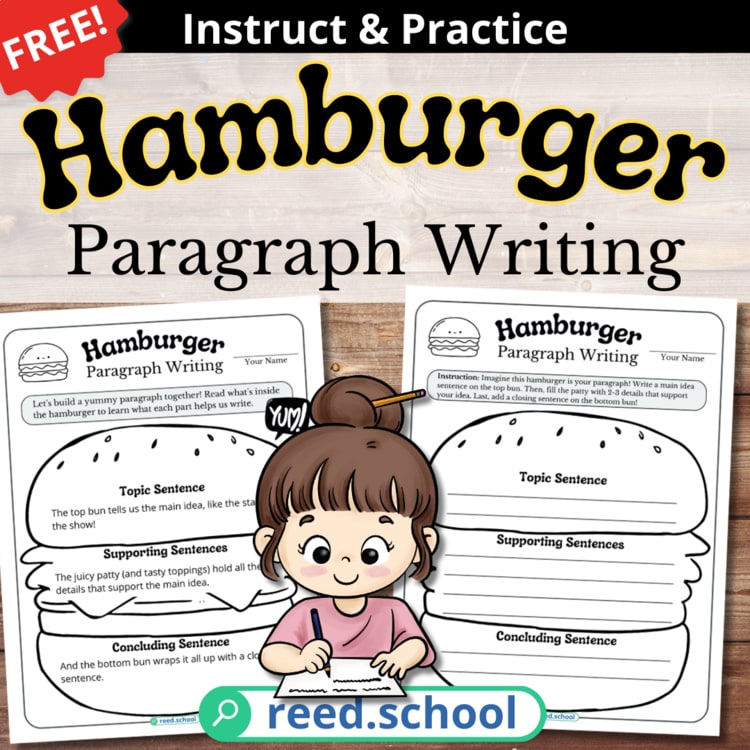 Hamburger Paragraph Organizer resource cover